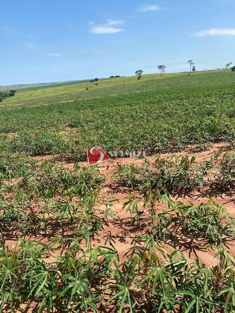 Fazenda à venda em Xambrê, ZONA RURAL, com 1 quarto, com 43.4 alqueires