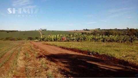 Chácara à venda em Maringá, Parque Industrial 200, com 6640 m²